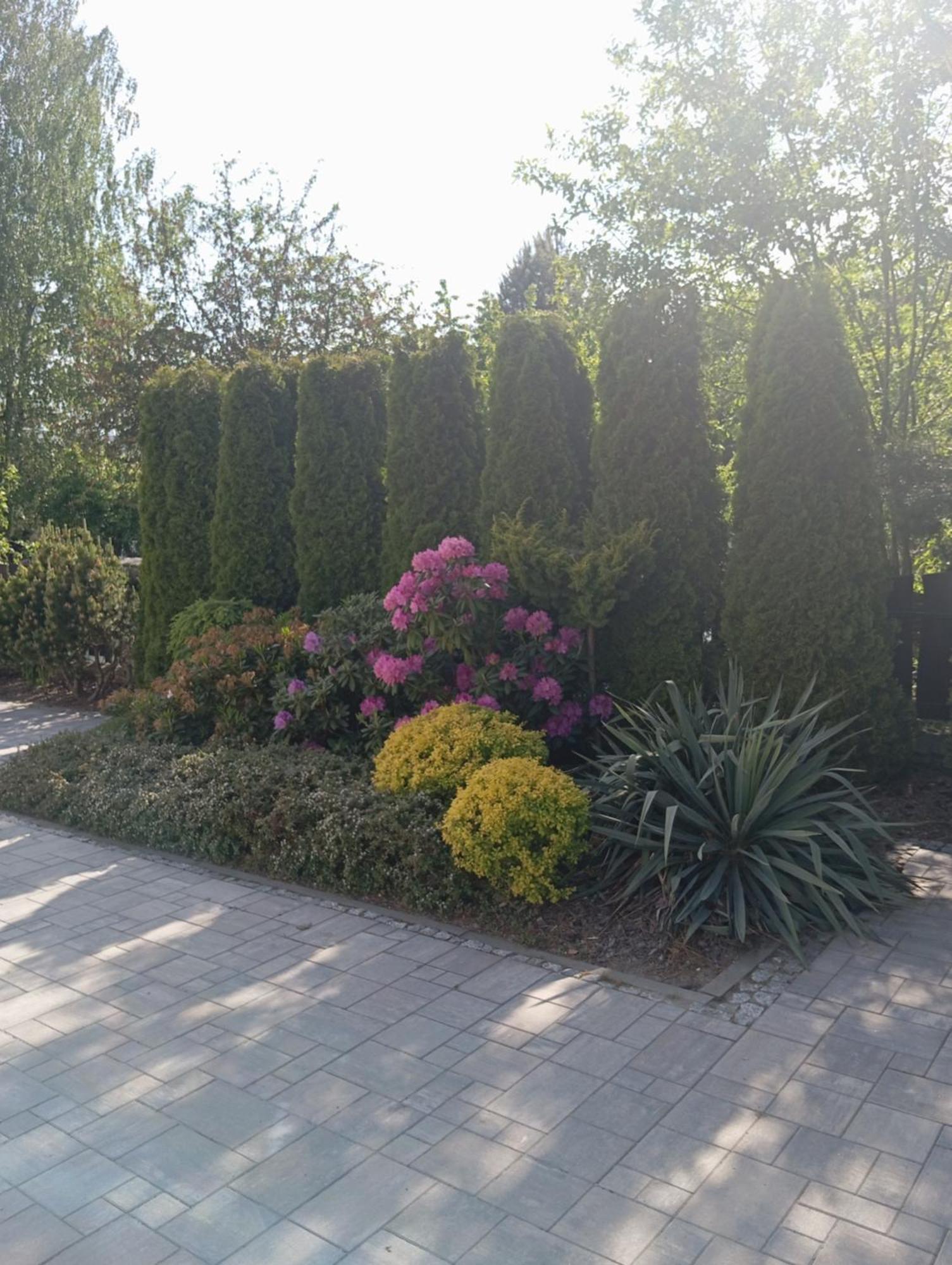 Zacisze Apartment Rozalin  Exterior foto
